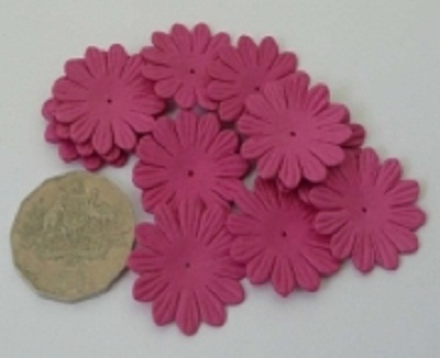 AS4E - 43mm Hot Pink Daisy Flower